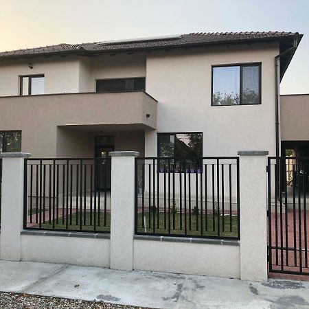 Pensiunea Anastasia Fosta Sofia Remetea Mare Exterior foto